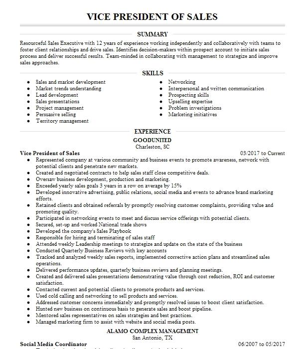 Vice President Of Sales Resume Example