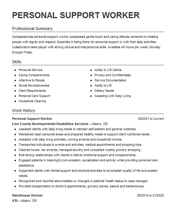 Support Service Worker Resume Example