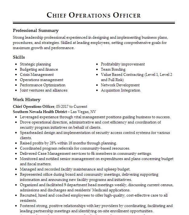 Chief Operations Officer Resume Example