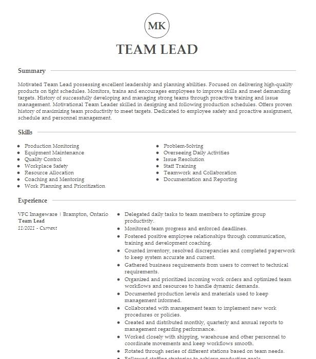 team-lead-resume-example