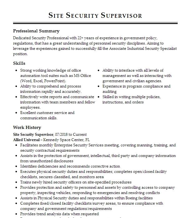 Site Security Supervisor Resume Example