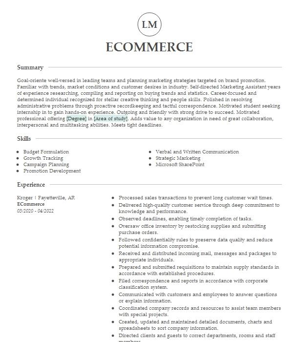 Ecommerce Resume Example