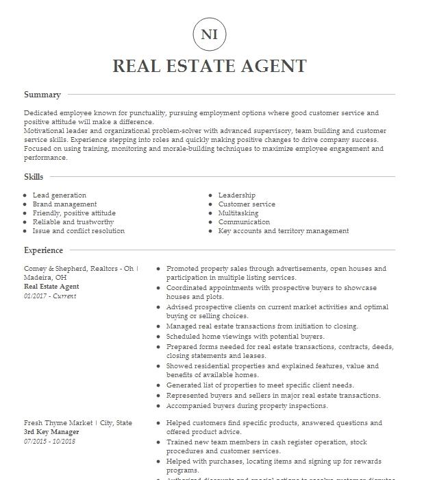 Real Estate Agent Resume Example