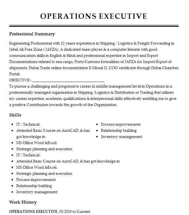 operations-executive-resume-example