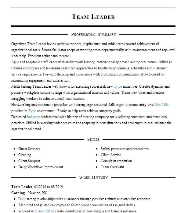 Team Leader Resume Example