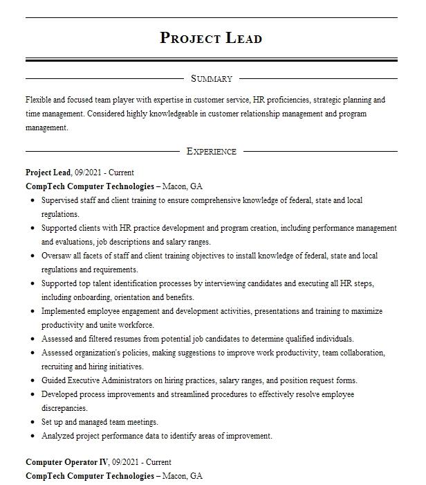 project-lead-resume-example