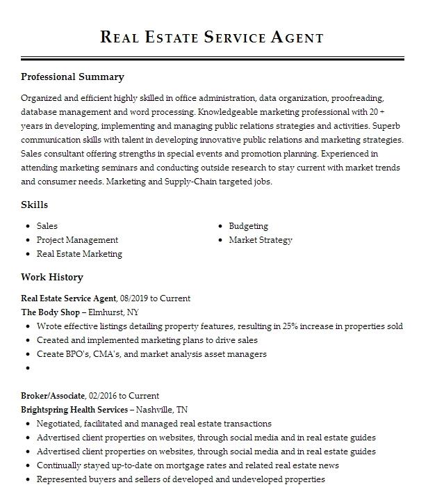 Real Estate Agent Resume Example