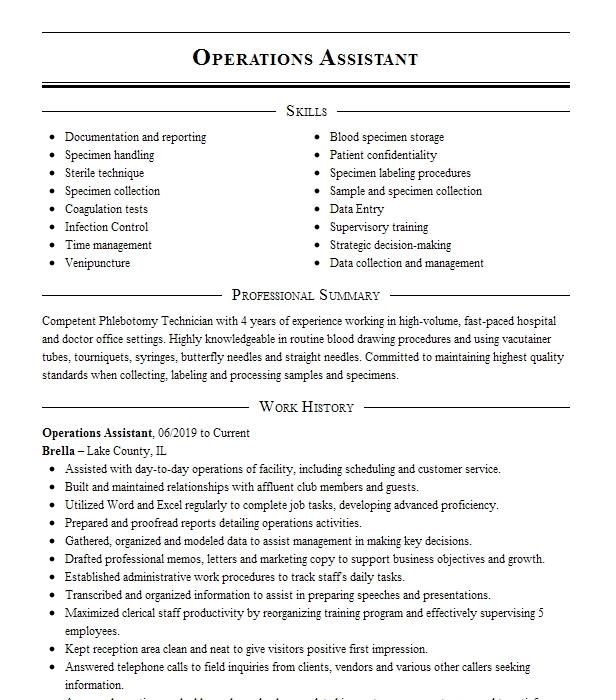 Operations Assistant Resume Example