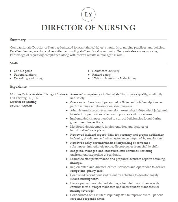 Director Of Nursing Resume Example