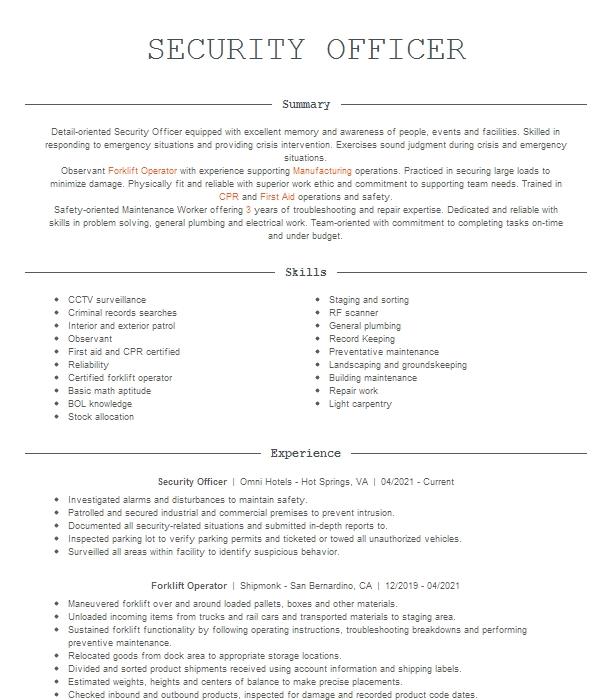 Security Officer Resume Example