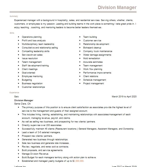 Division Manager Resume Example