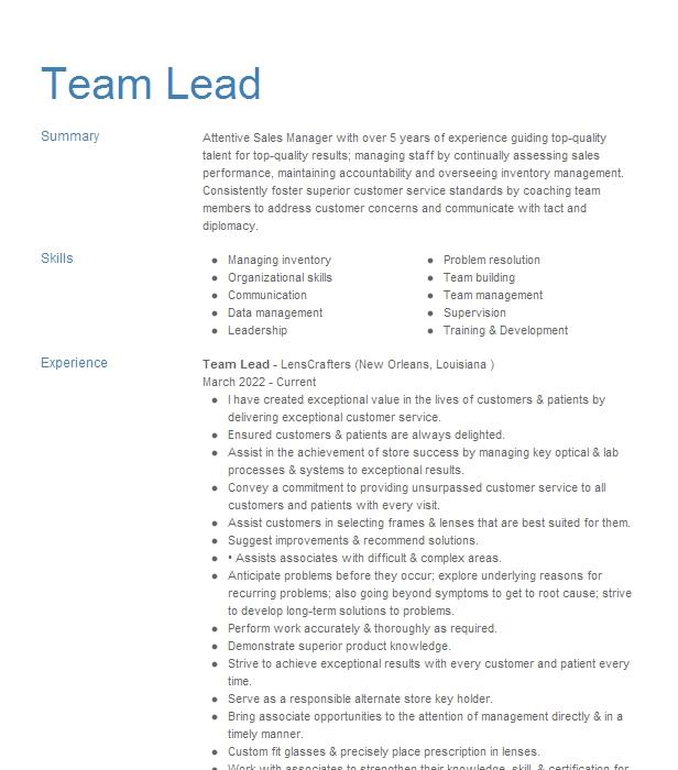 Team Lead Resume Example