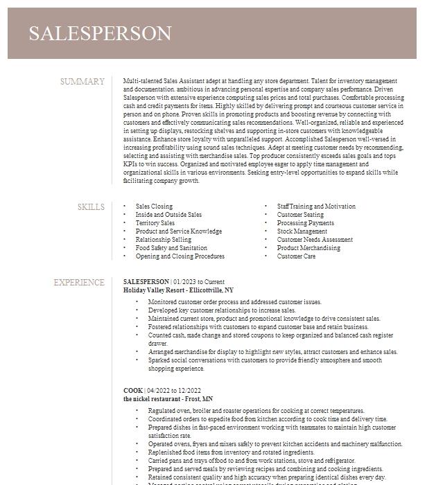 Salesperson Resume Example