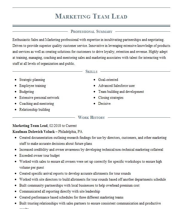 Marketing Team Lead Resume Example