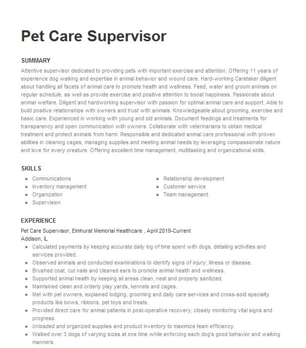 Pet Care Lead Resume Example