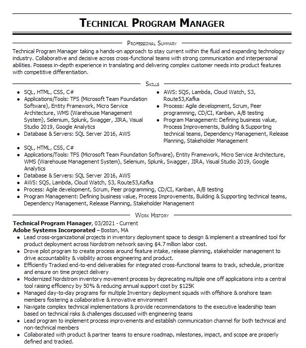 Technical Program Manager Resume Example