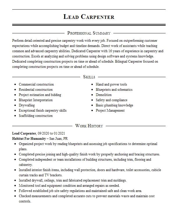 Lead Carpenter Resume Example