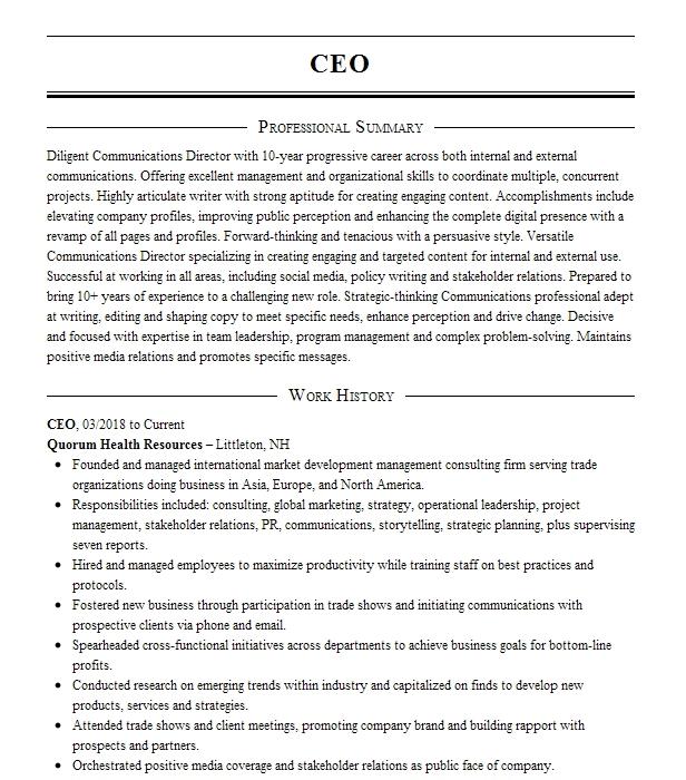 Ceo Resume Example