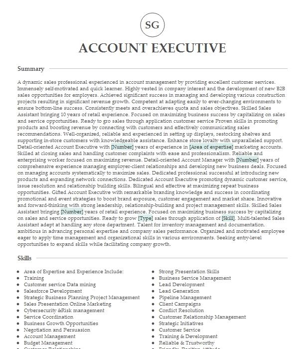 account executive resume objective examples