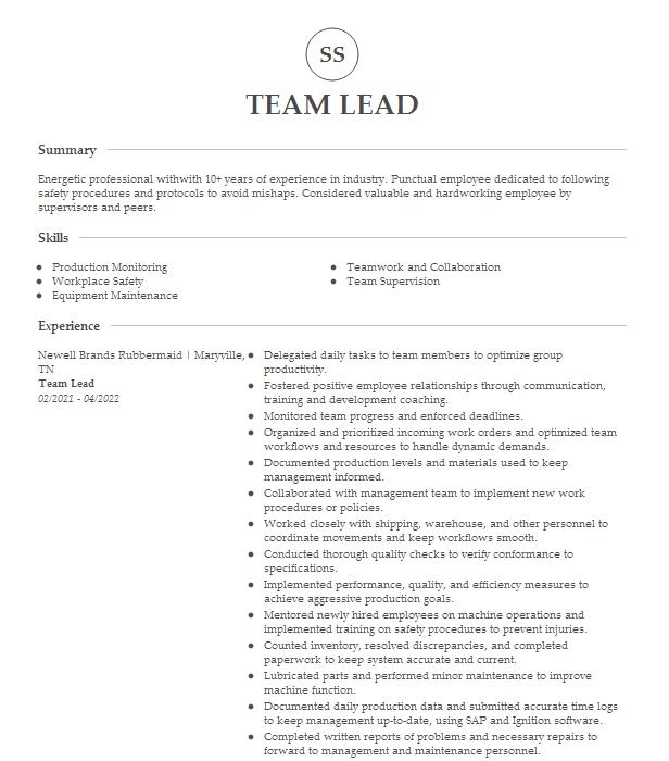 Team Lead Duties For Resume