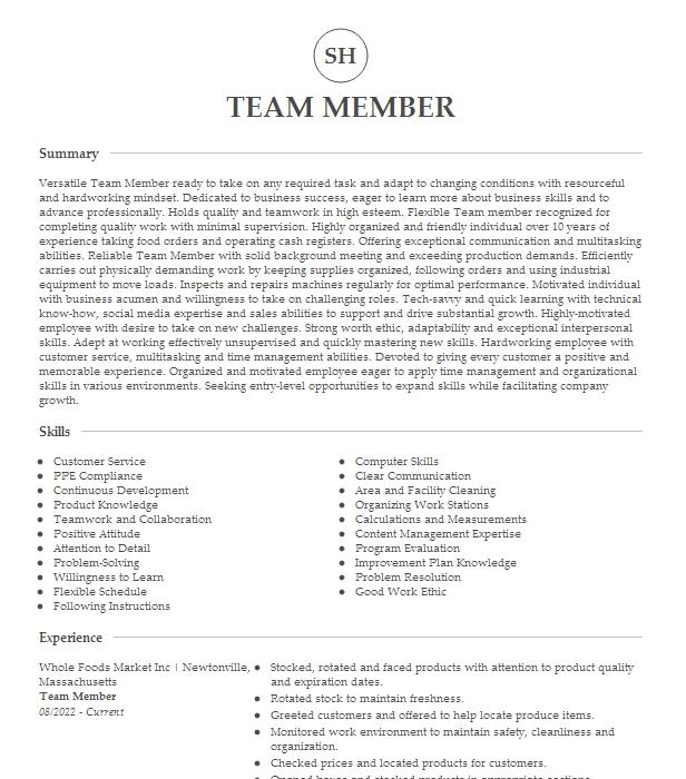 Team Member Resume Example