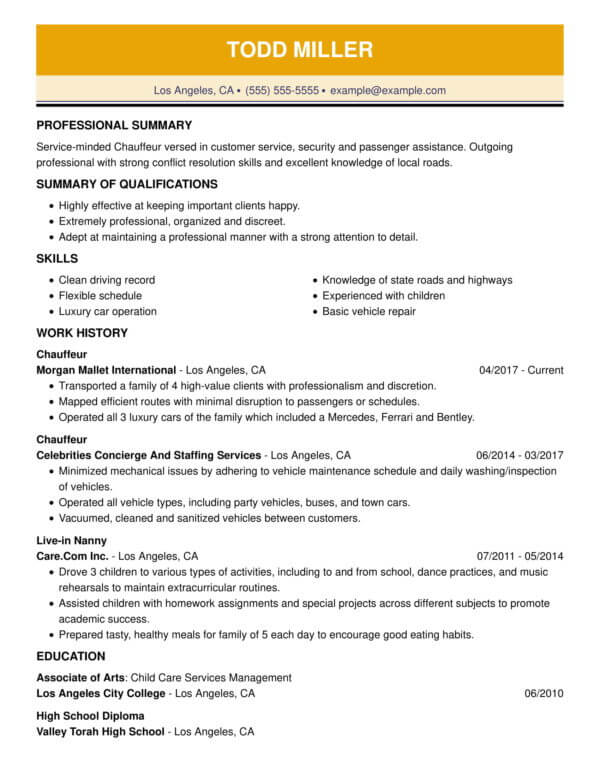 Professional Driving Resume Examples for 2021 | LiveCareer