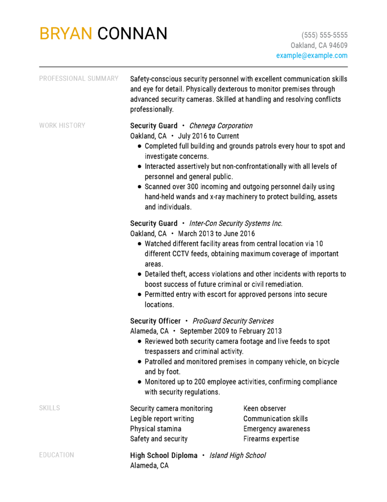 Professional Guard Resume Examples