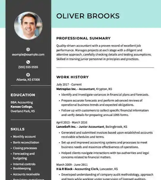 Professional Accountant Resume Examples